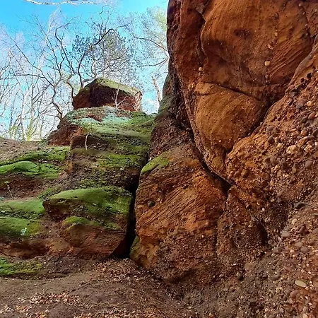 Vakantiehuis Eifelhof Mit Obstbaumwiese Nideggen