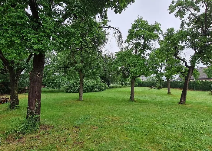 Eifelhof Mit Obstbaumwiese * 尼蒂戈恩