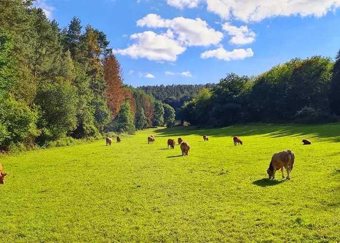 Feriehus Eifelhof Mit Obstbaumwiese Nideggen