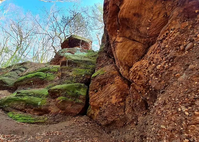 Feriehus Eifelhof Mit Obstbaumwiese Nideggen