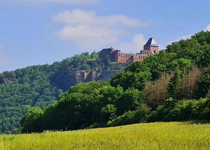 Feriehus Eifelhof Mit Obstbaumwiese